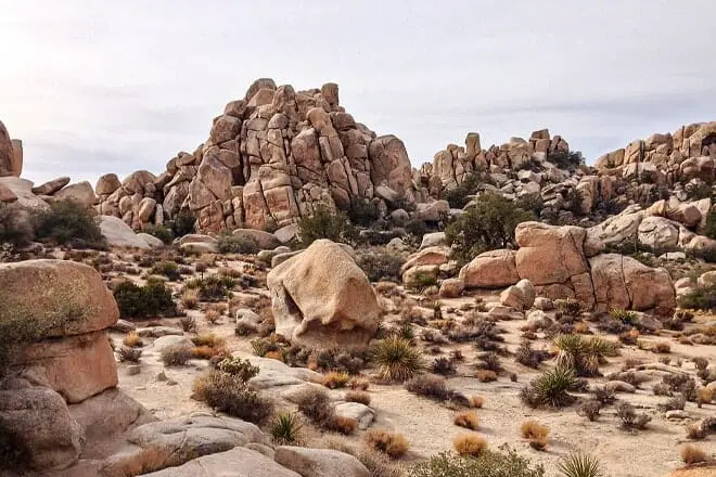 Las 17 mejores cosas para hacer en Joshua Tree, CA: ¡las mejores actividades y lugares para ir!