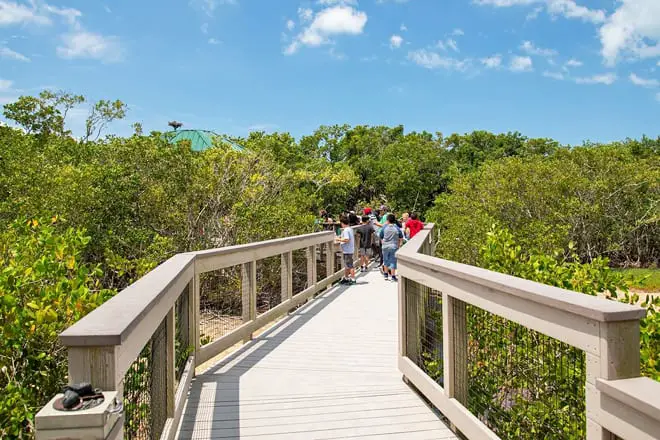 Las 17 mejores cosas para hacer en la isla de Sanibel, FL: ¡las mejores actividades y lugares para ir!