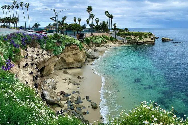 Las 17 mejores cosas para hacer en La Jolla, CA: ¡las mejores actividades y lugares para ir!