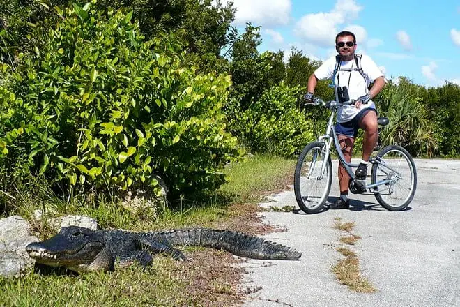Las 17 mejores cosas para hacer en los Everglades, FL: ¡las mejores actividades y lugares para visitar!