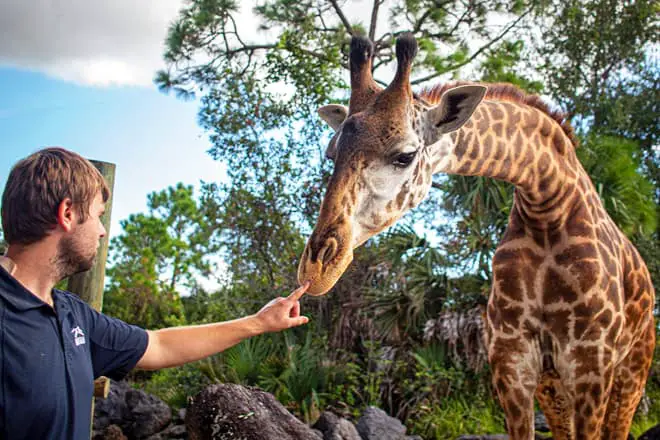 Las 17 mejores cosas para hacer en Melbourne, FL: ¡las mejores actividades y lugares para ir!