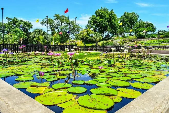 Las 17 mejores cosas para hacer en San Angelo, TX: ¡las mejores actividades y lugares para ir!