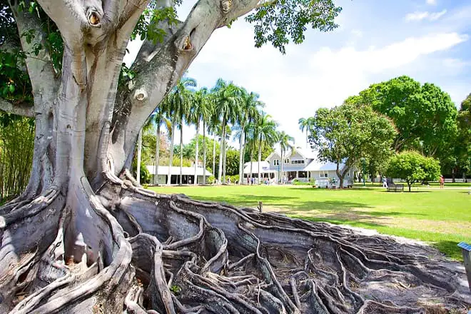 Las 18 mejores cosas para hacer en Fort Myers, FL: ¡las mejores actividades y lugares para ir!