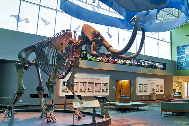 Las 23 mejores cosas para hacer en Gainesville, FL: ¡las mejores actividades y lugares para ir!