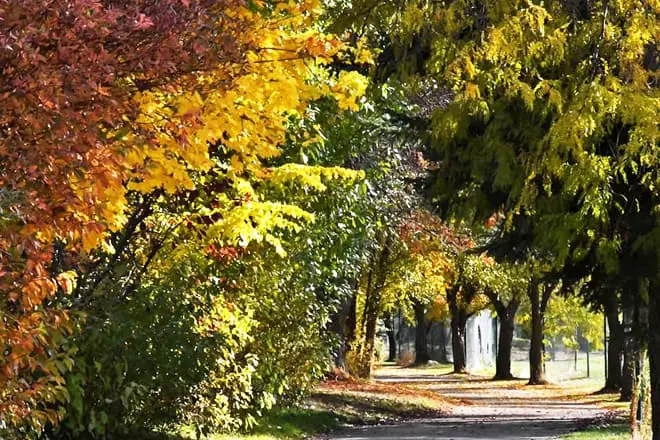 Las 25 mejores cosas para hacer en Boise, ID: ¡las mejores actividades y lugares para ir!