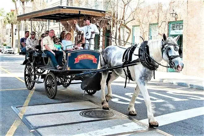 Las 25 mejores cosas para hacer en Carolina del Sur: ¡actividades divertidas y cosas para hacer!
