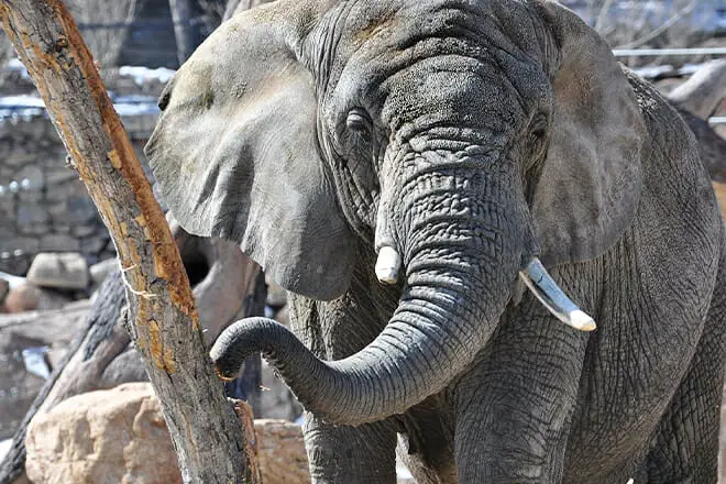 Las 25 mejores cosas para hacer en Colorado Springs, CO: ¡las mejores actividades y lugares para visitar!