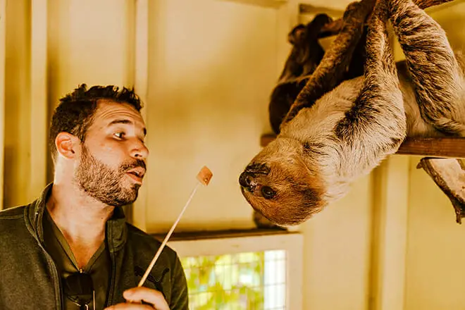 Las 25 mejores cosas para hacer en Miami, Florida: ¡las mejores actividades y lugares para ir!