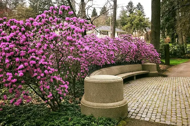 Las 25 mejores cosas para hacer en Portland, Oregón: ¡las mejores actividades y lugares para ir!