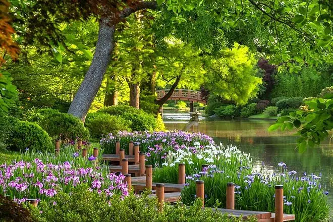 Las 25 mejores cosas para hacer en St. Louis, MO: ¡las mejores actividades y lugares para ir!