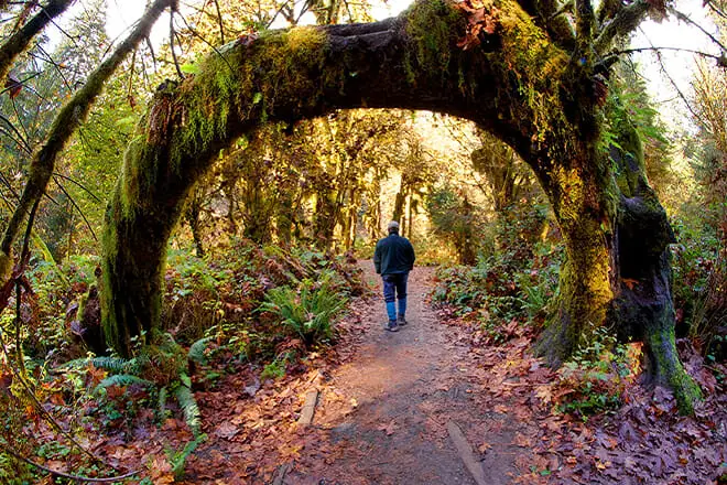 Las 25 mejores cosas para hacer en Washington: ¡actividades divertidas y cosas para hacer!