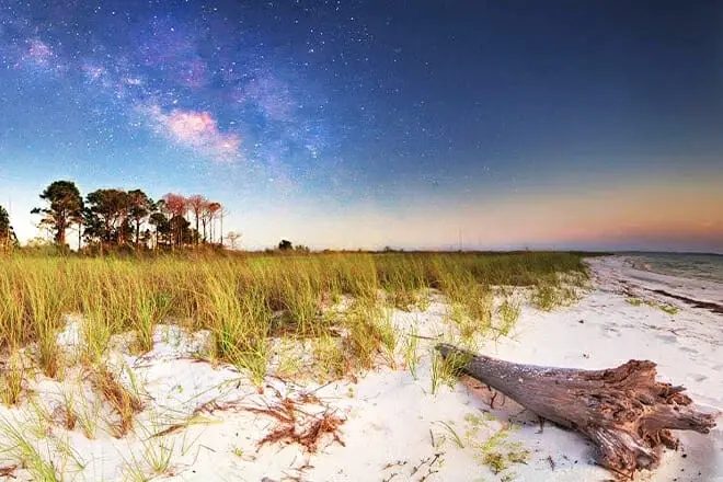 Las 7 mejores playas cerca de Tallahassee, FL: los lugares de playa más cercanos