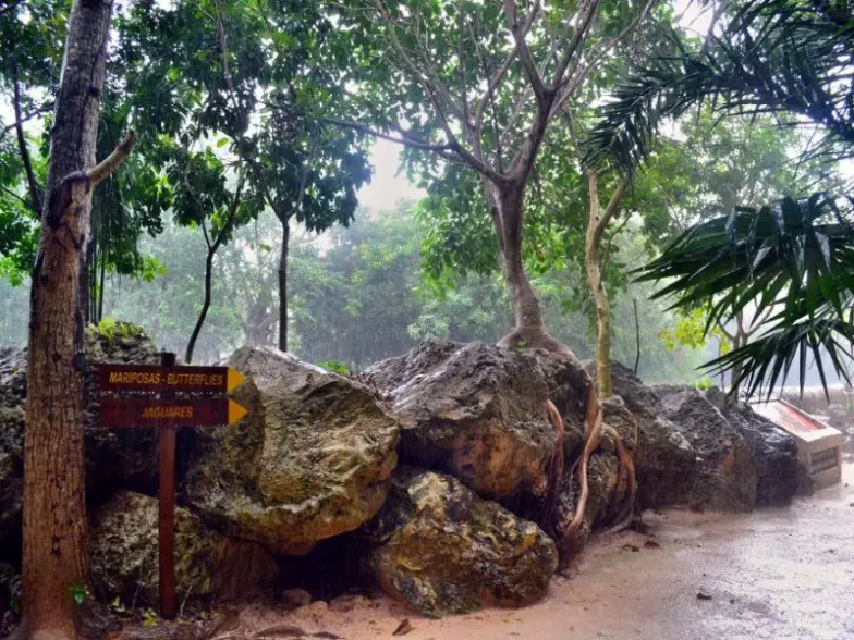 Las 8 mejores cosas que hacer en la Riviera Maya