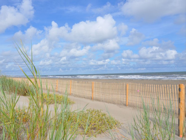 Las 8 mejores playas cerca de Nueva Orleans