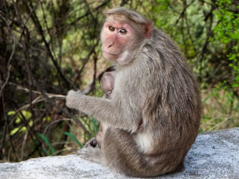 Los 10 hoteles de lujo más remotos del mundo