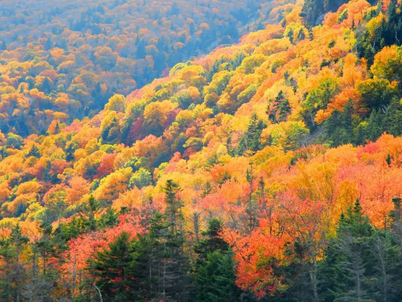 Los 10 mejores destinos para acampar en otoño en los Estados Unidos