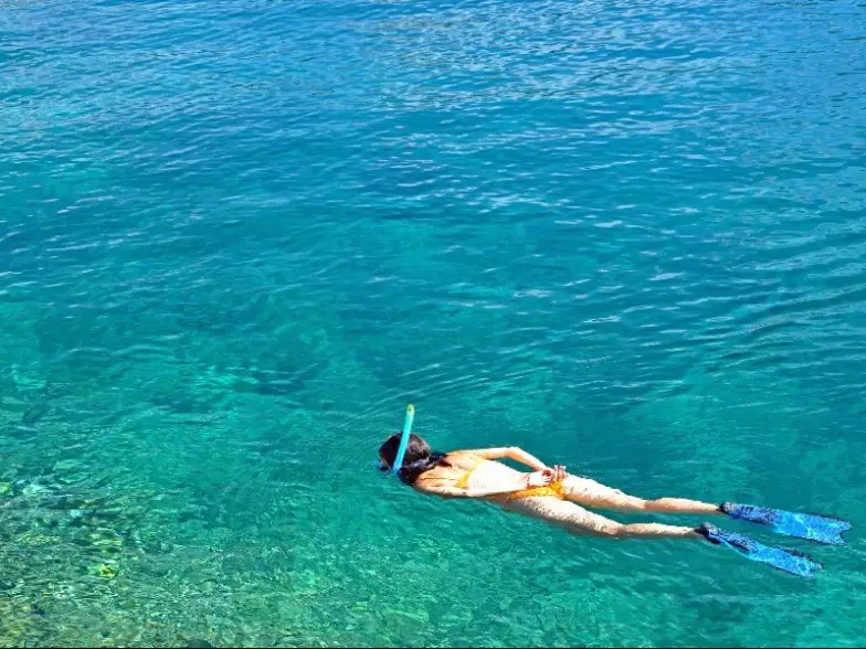 Los 10 mejores lugares para hacer esnórquel y buceo en Costa Rica