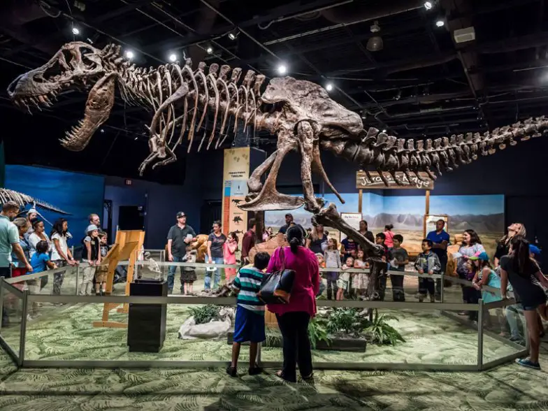 Los 10 mejores museos para niños en Florida