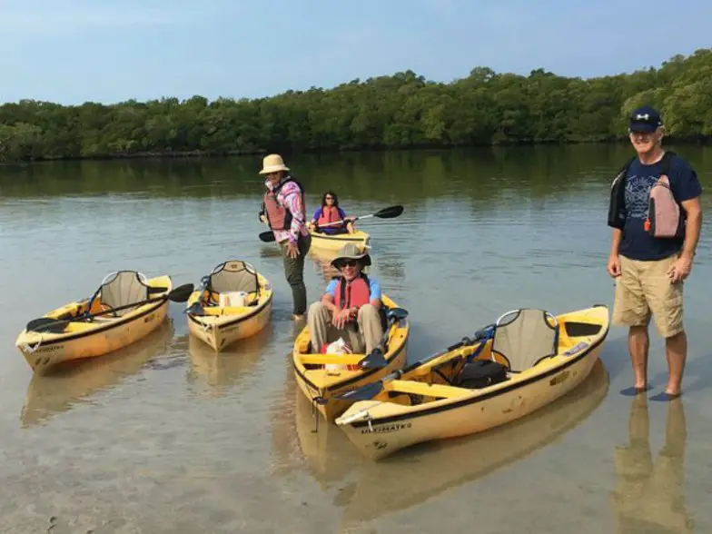 Los 10 mejores paseos en barco por los Everglades de Florida