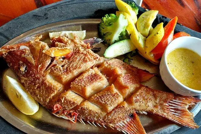 Los 12 mejores restaurantes en Marathon, FL: ¡los mejores lugares para comer!