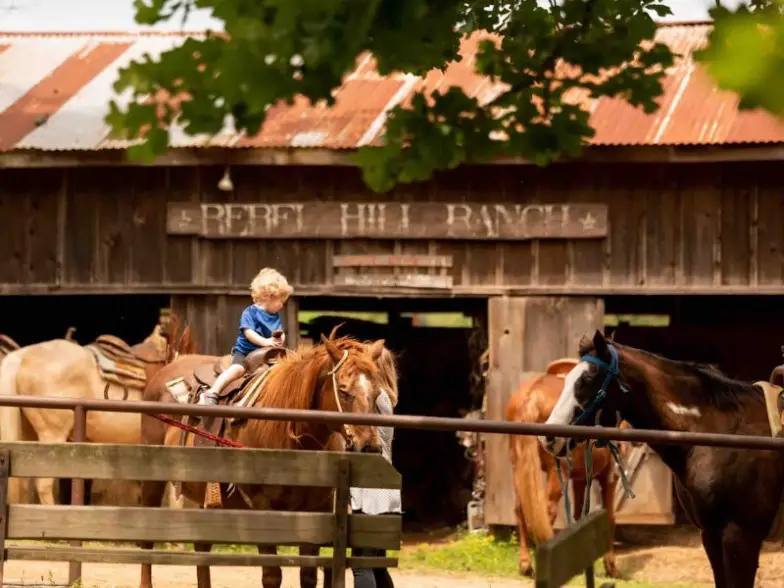 Los 14 mejores alquileres de vacaciones en EE. UU. para montar a caballo
