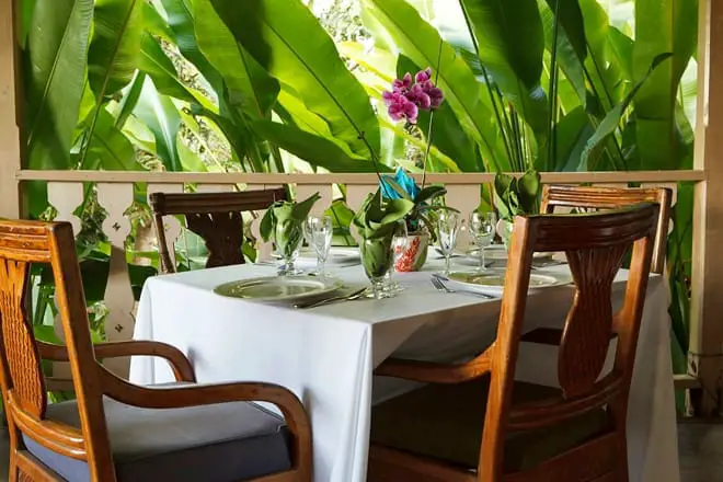 Los 15 mejores restaurantes de Santa Lucía: ¡los mejores lugares para comer!