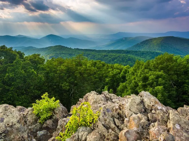 Los 15 mejores viajes por carretera de la costa este para el distanciamiento social
