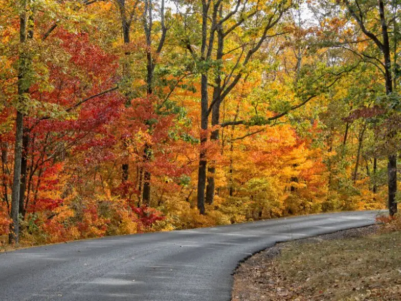 Carretera de otoño en el parque estatal DeSoto en Alabama