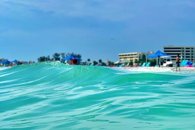 Los 23 mejores lugares para visitar en Florida: ¡lugares divertidos y únicos para visitar!