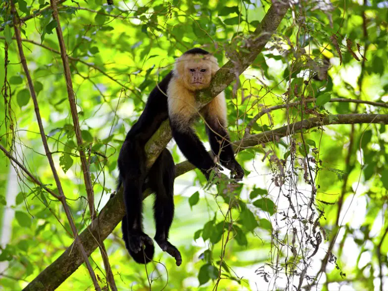 Los 8 mejores destinos centroamericanos para el invierno