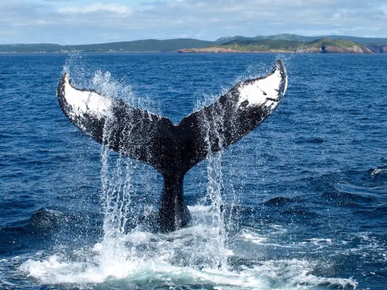 Los 8 mejores destinos de vacaciones de verano sin multitudes