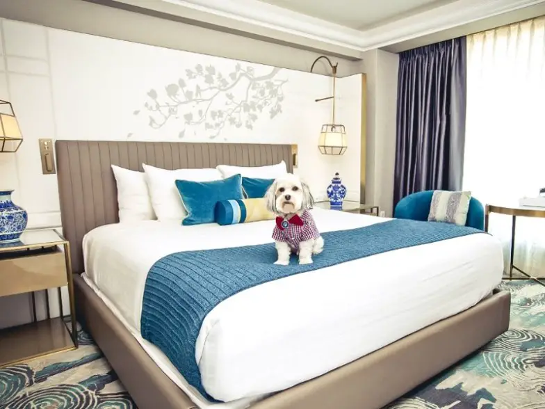 Los 9 mejores hoteles que admiten mascotas en San Francisco