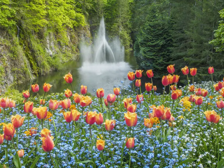 Los 9 mejores lugares para visitar cerca de la frontera con Canadá