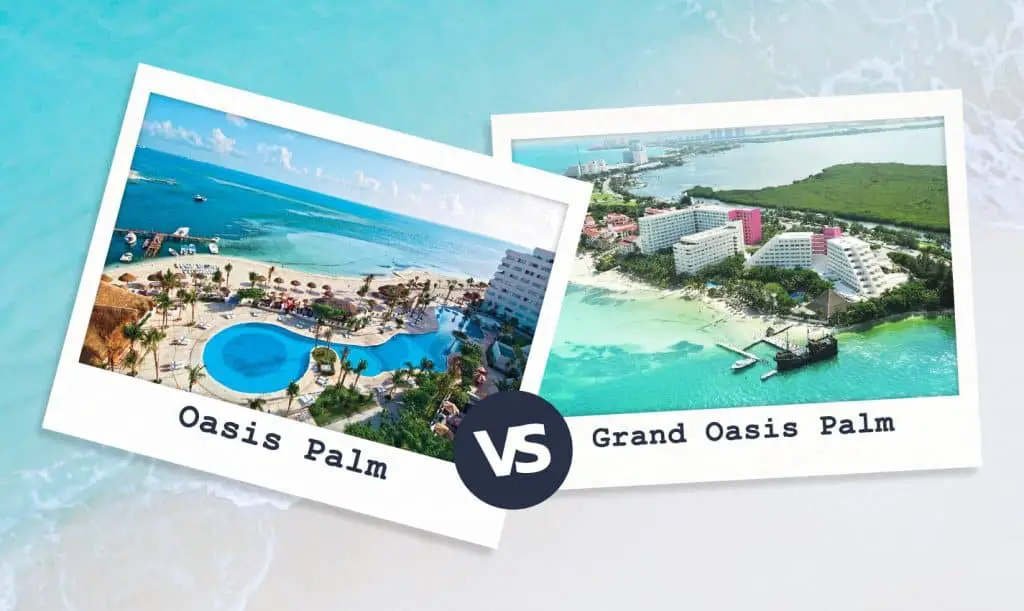 Oasis Palm vs Grand Oasis Palm: ¿Dónde debería hospedarse?
