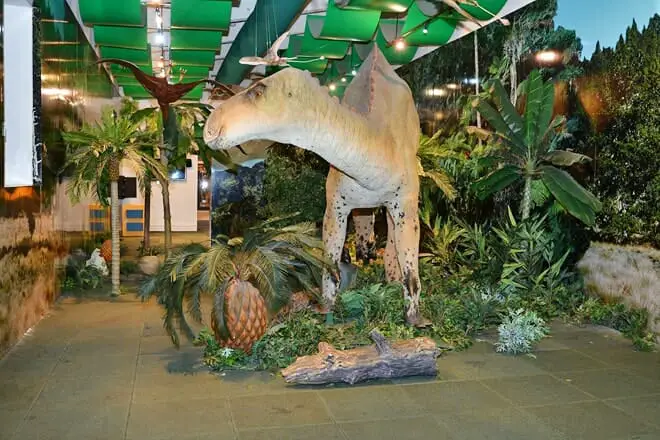 República Dominicana con niños: 15 cosas divertidas para hacer (¡actividades para toda la familia!)