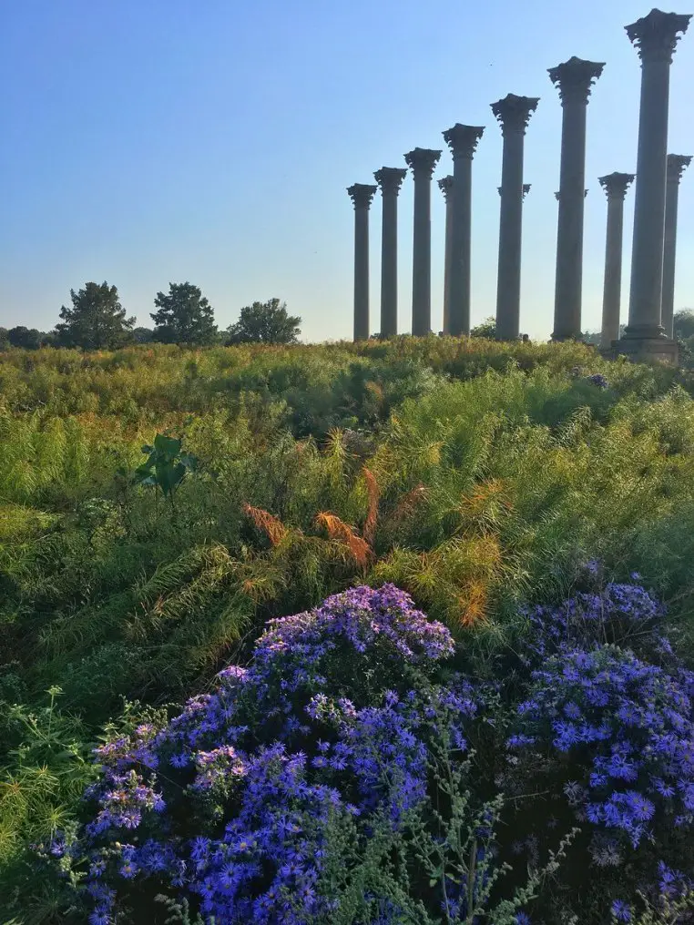 Senderismo por el Arboreto Nacional de EE. UU. en Washington, DC
