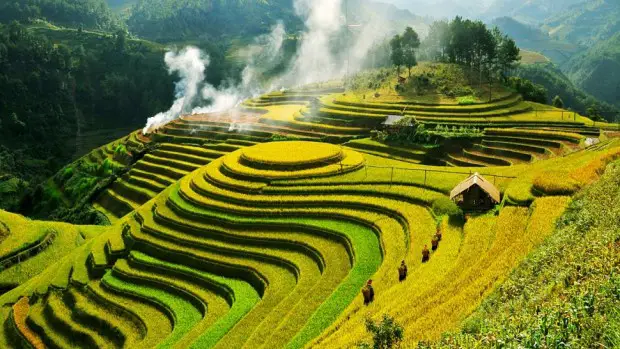 ADMIRA LOS ARROZALES DE SAPA