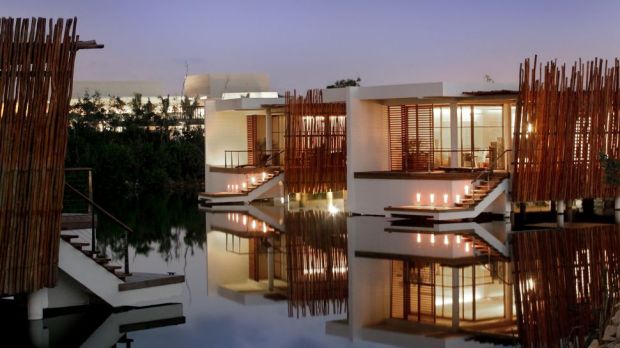 PALO DE ROSA MAYAKOBA, RIVIERA MAYA